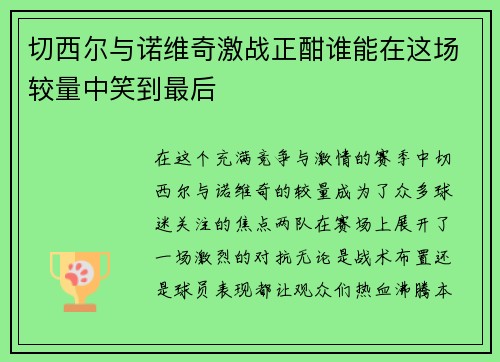 切西尔与诺维奇激战正酣谁能在这场较量中笑到最后